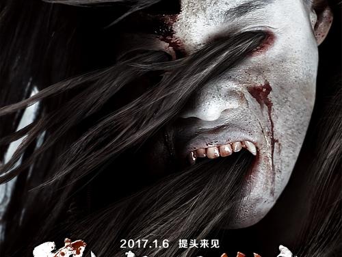 办个香港驾照多少钱
